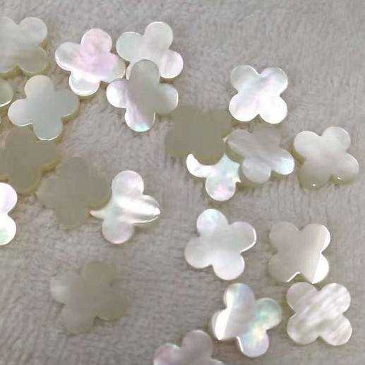 natural shell  accessories