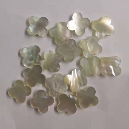 natural shell  accessories