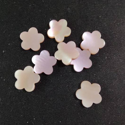 natural shell  accessories