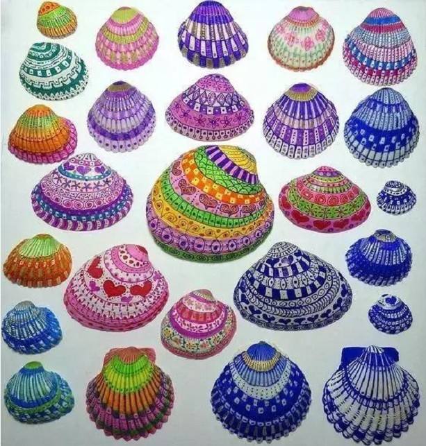 natural shell  material