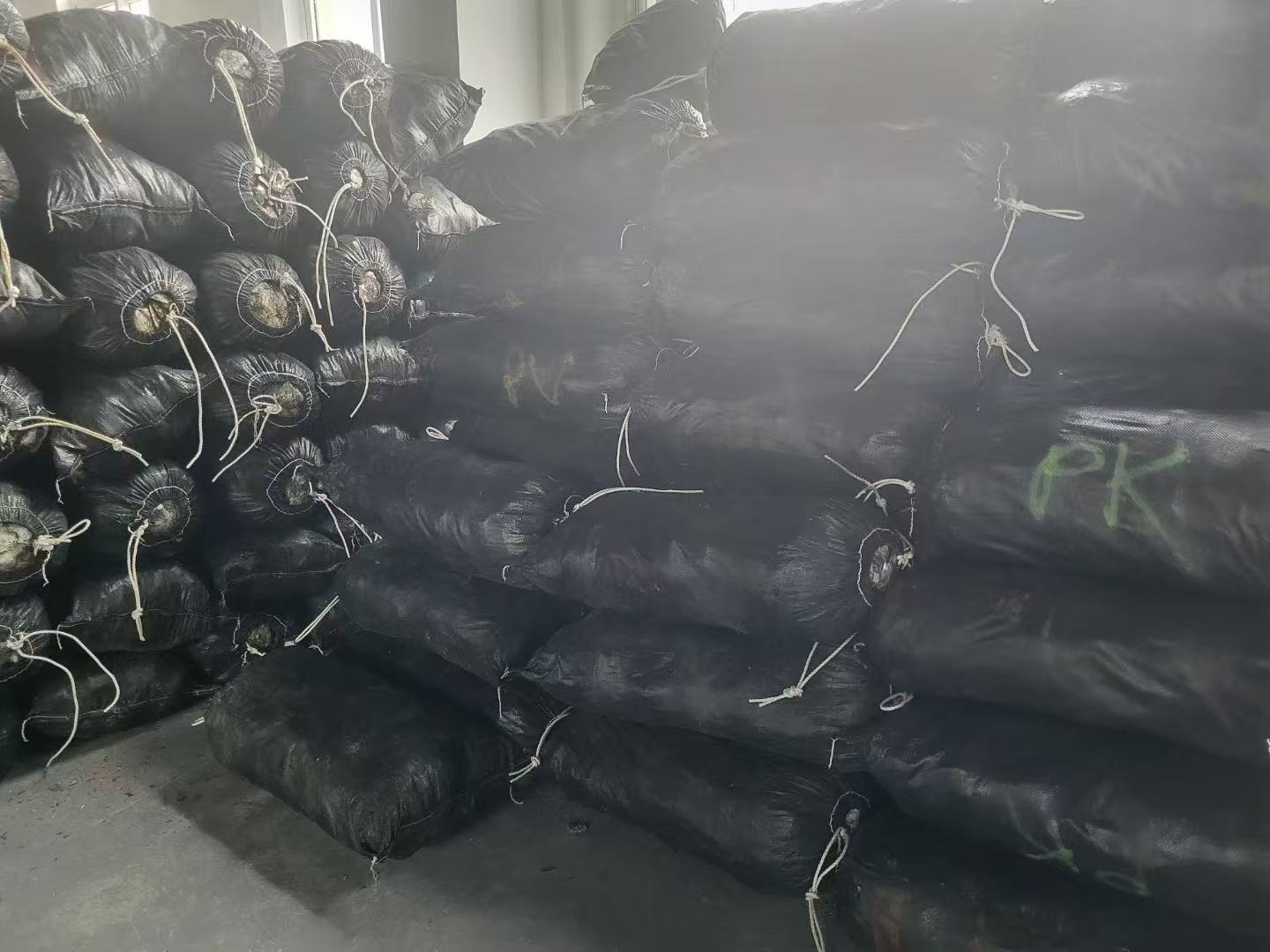 natural shell  material