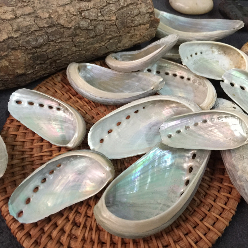 natural shell  material