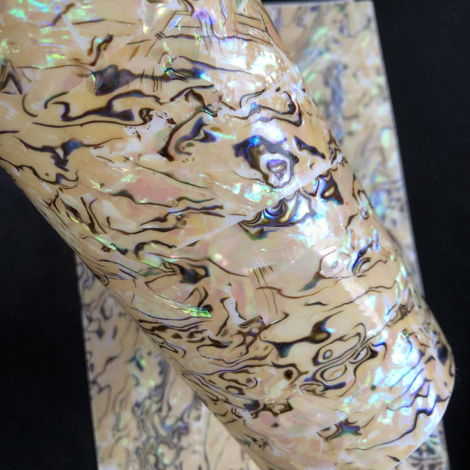 Natural flexible abalone with adhesive shell sheet