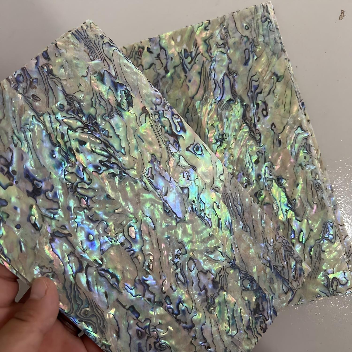 Natural Abalone  Sheet