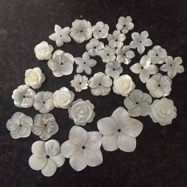 natural shell beads