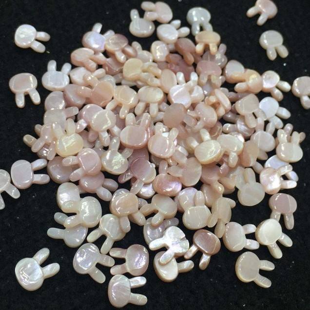 natural shell beads