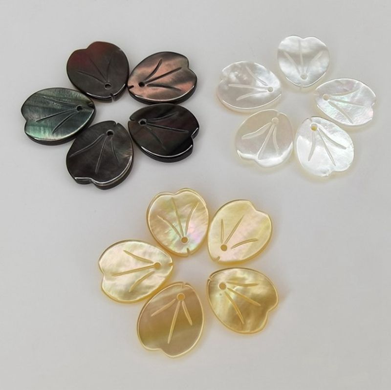natural shell beads