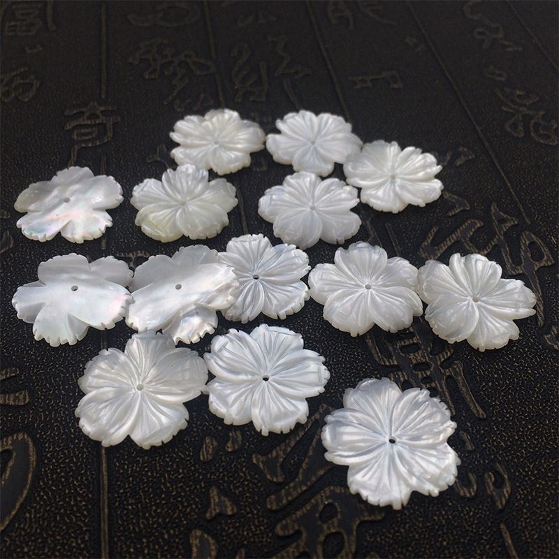 natural shell beads