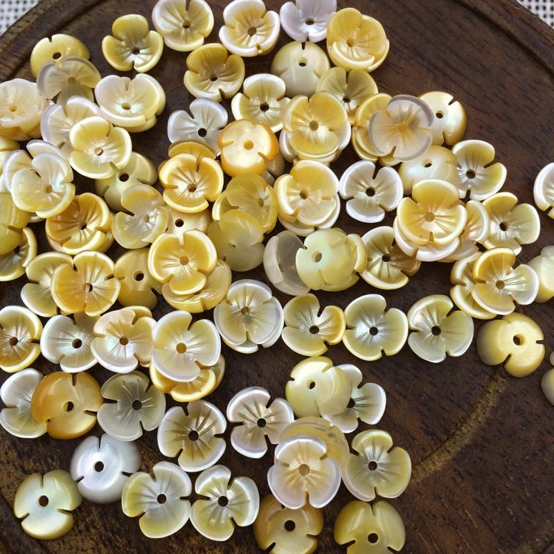 natural shell beads