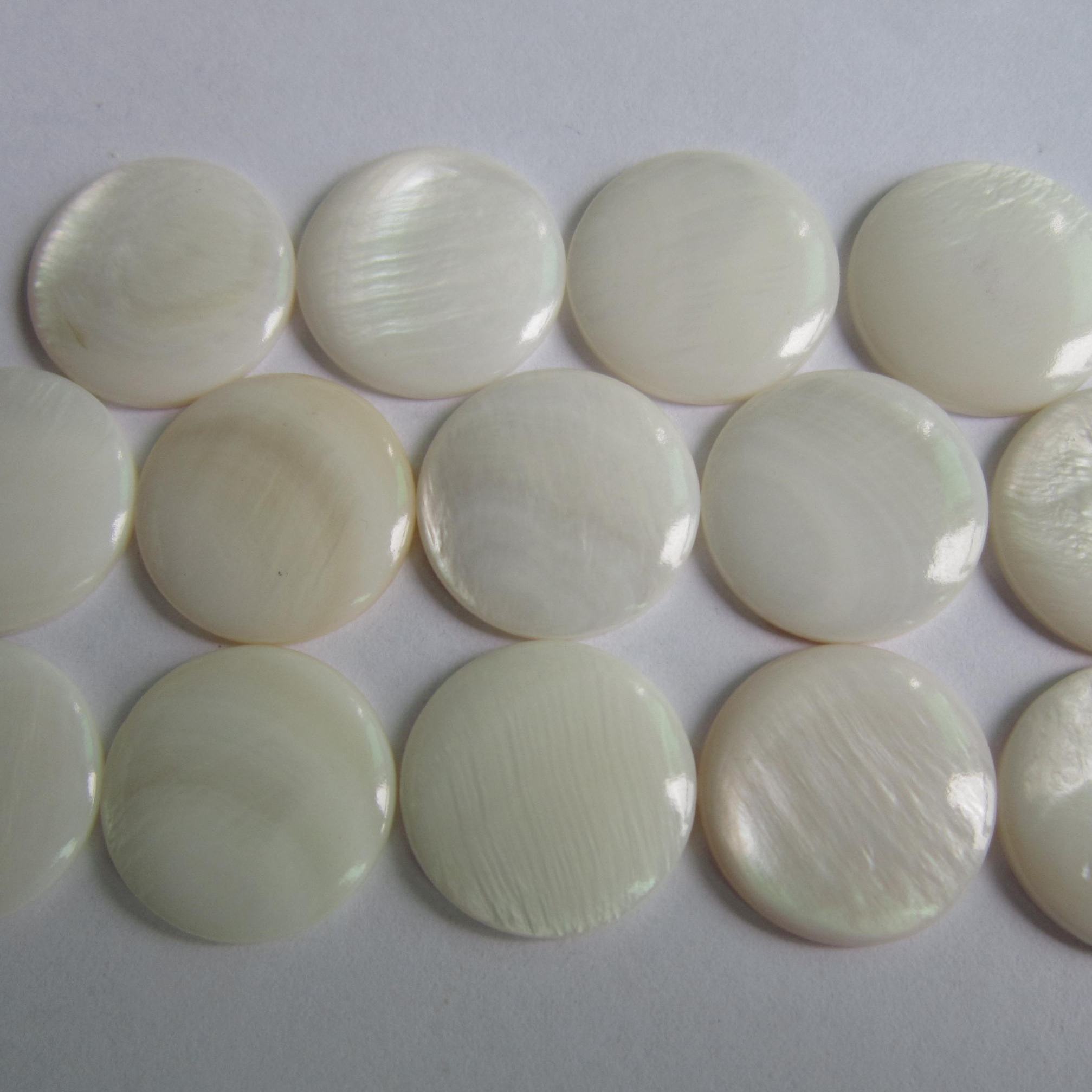 natural shell beads