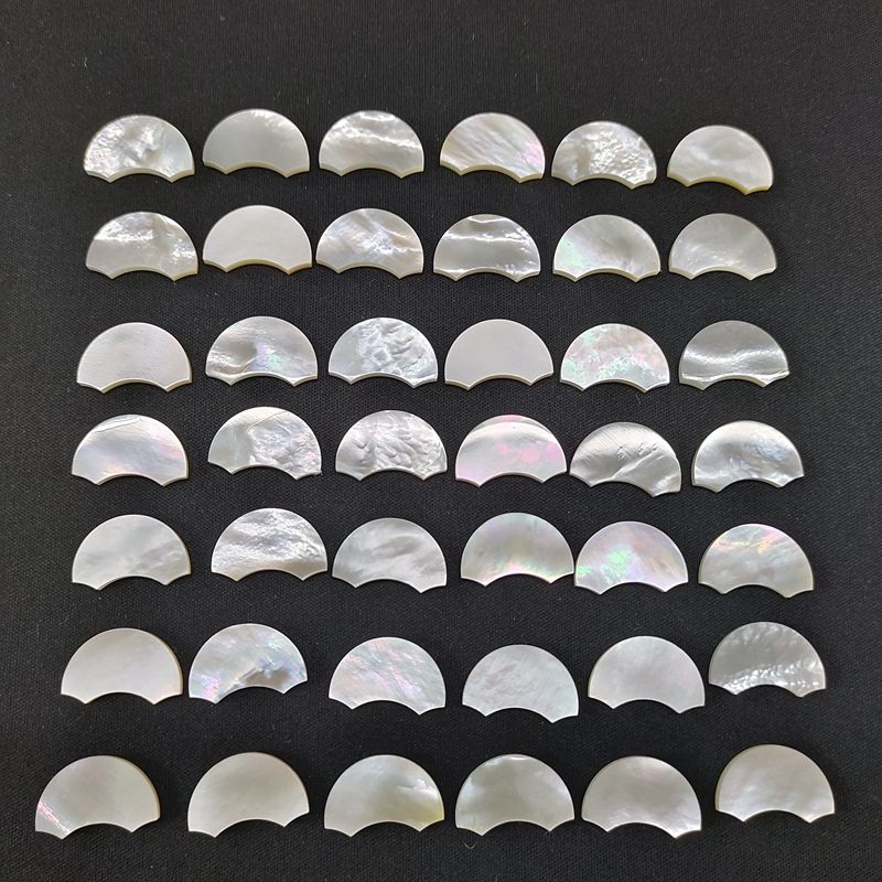 natural shell beads