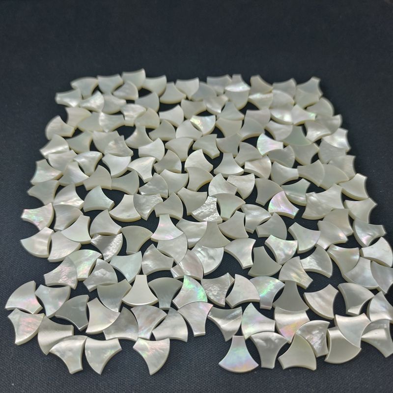 Natural Shell Beads