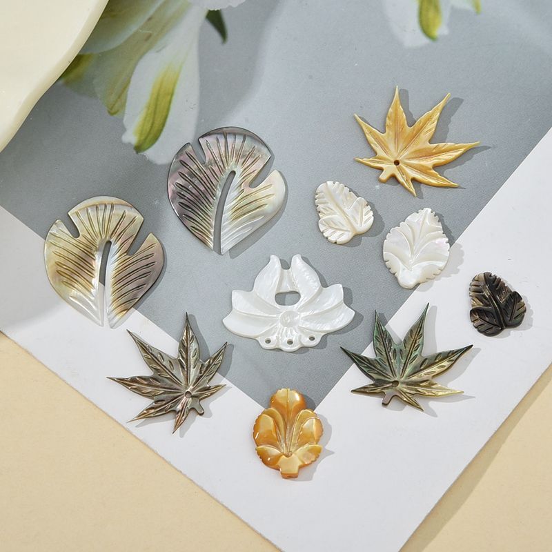 natural shell  jewelry