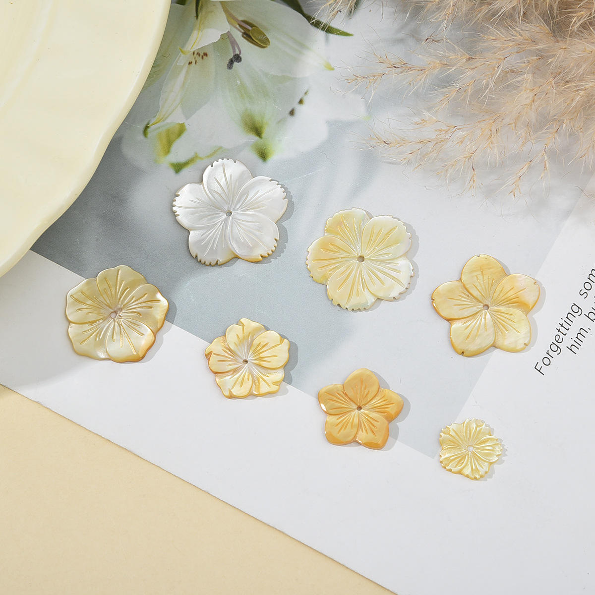 natural shell  jewelry