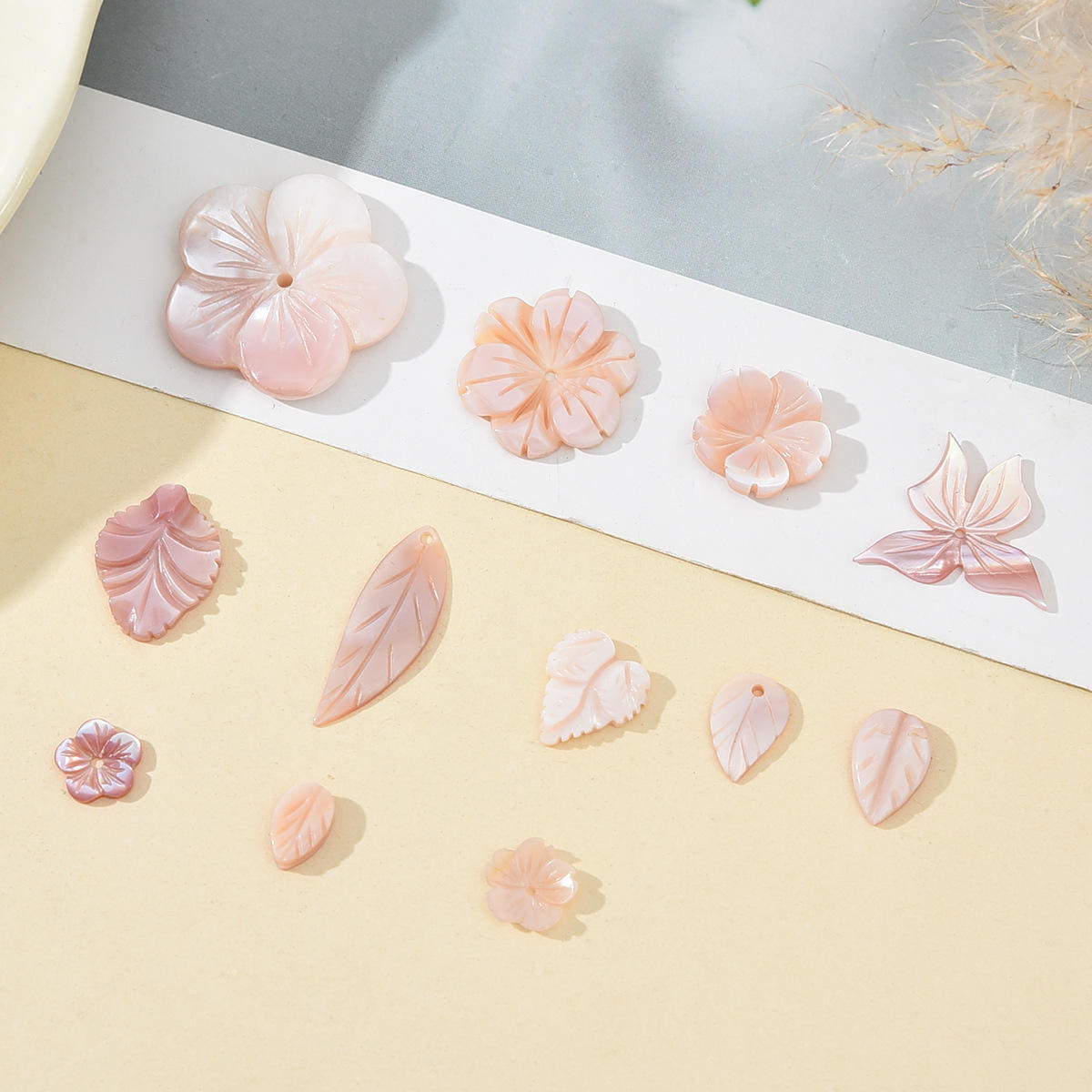 natural shell  jewelry