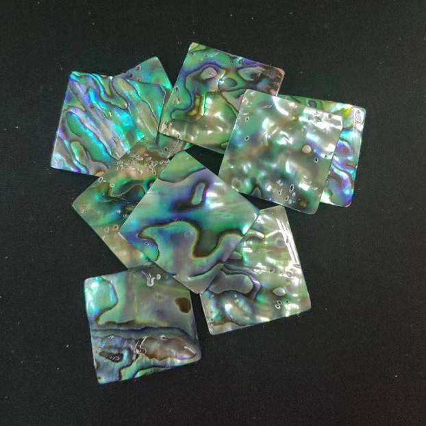 Natural abalone shell blank