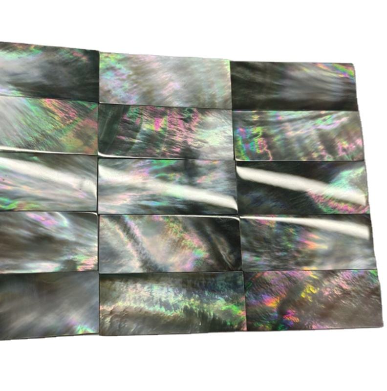 Natural abalone shell blank