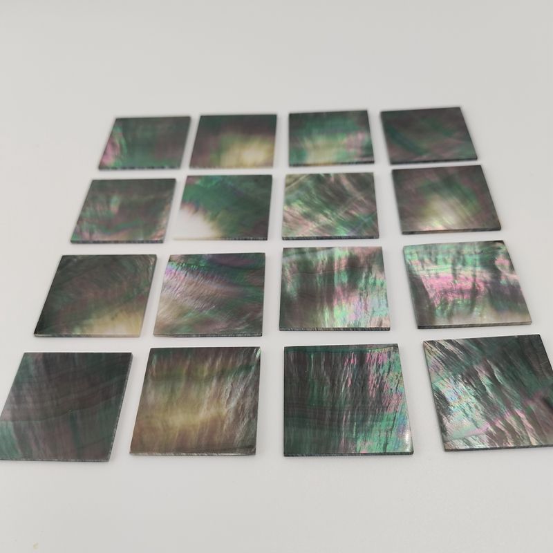 Natural abalone shell blank