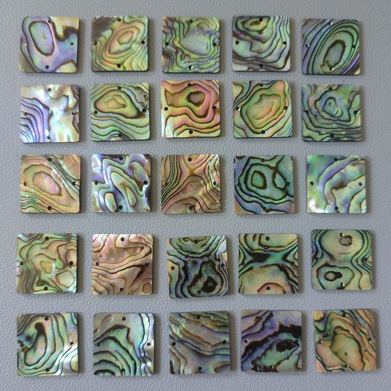 Natural abalone shell blank