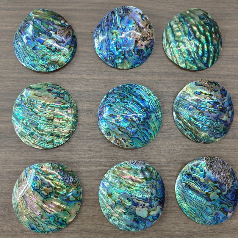 Natural abalone shell blank