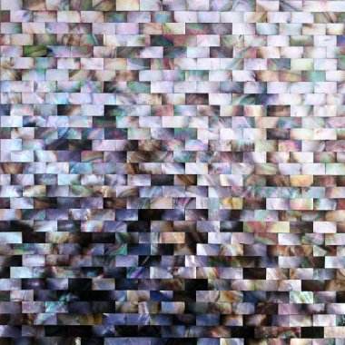 natural shell mosaic