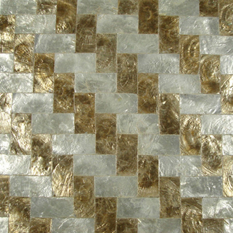 natural shell mosaic